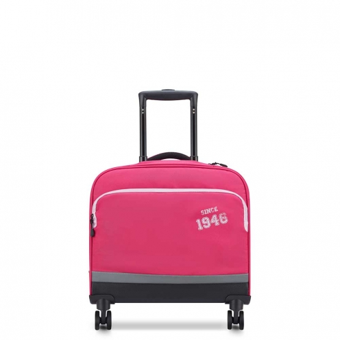 خرید و قیمت کیف دلسی چرخ دار مدرسه ای 15.6 اینچ دلسی پاریس رنگ صورتی چمدان ایران - DELSEY PARIS HORIZONTAL TROLLEY  00339045209 chamedaniran 2